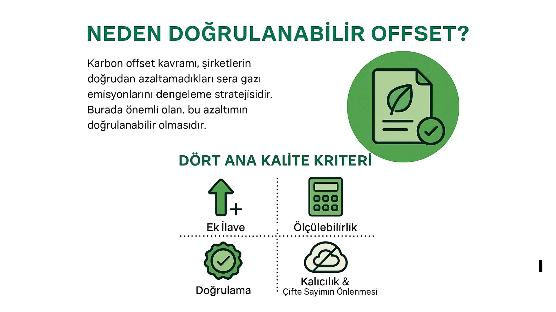 İşletmeler İçin Doğrulanabilir Karbon Offset Stratejileri