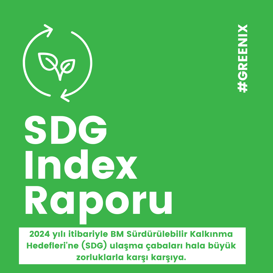 SDG Index Raporu