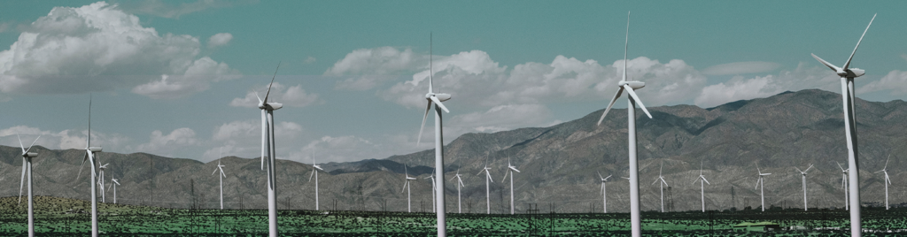 2024 Yılında Küresel Yenilenebilir Enerji Kapasitesi Rekor Kırdı