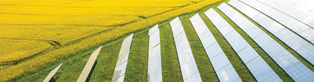 Agrivoltaik Sistemler: Sürdürülebilir Tarım ve Enerjinin Kesişim Noktası