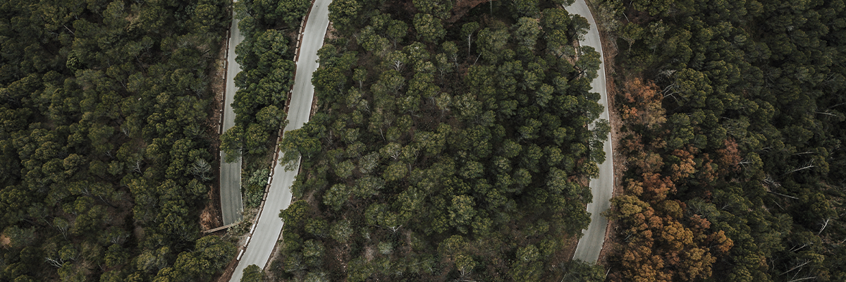 Net Sıfır Yol Haritası