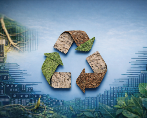 Detailed Analysis of Waste Processes