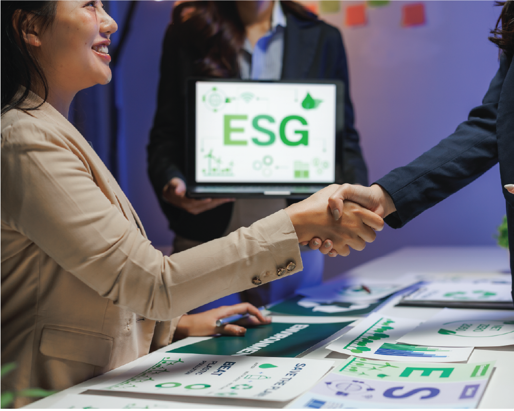 What is the BIST Sustainability Index?