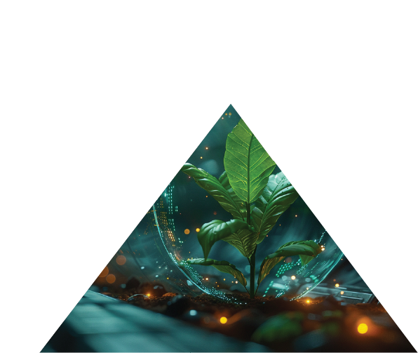 Digital Sustainability Technologies