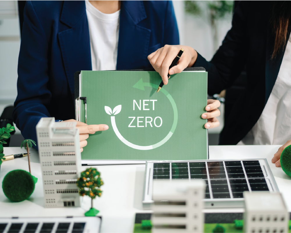 Net-Zero Roadmap Development