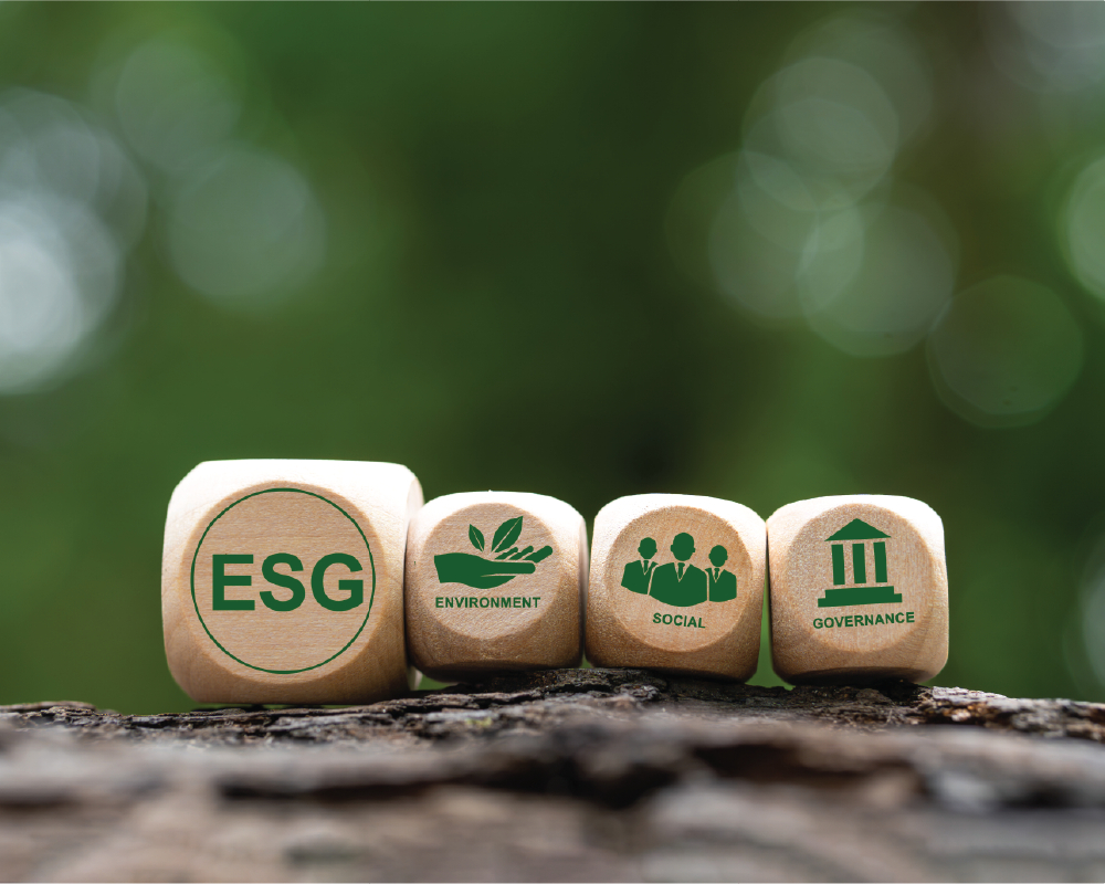 Sustainable Development Goals (SDG) and ESG Consultancy