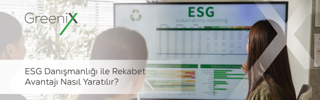 ESG Danışmanlığı ile Rekabet Avantajı Nasıl Yaratılır?