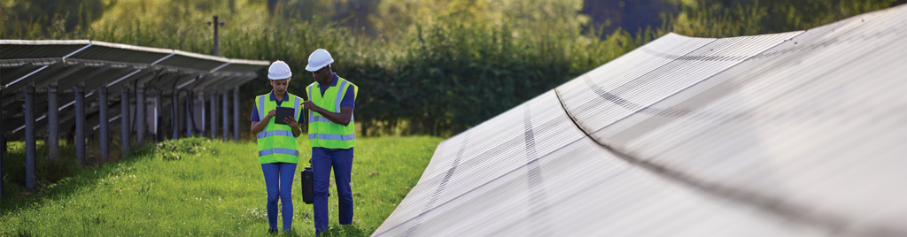 EcoVadis Nedir ve Şirketiniz Neden Bu Değerlendirmeye Hazır Olmalı?
