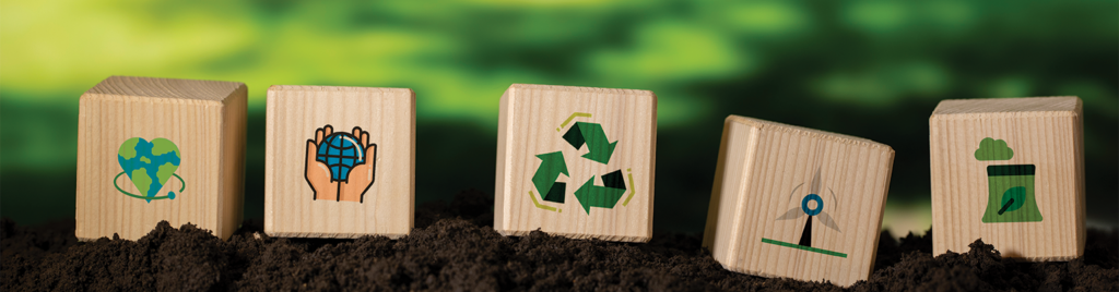 Ecovadis Puanı Nasıl Artırılır?