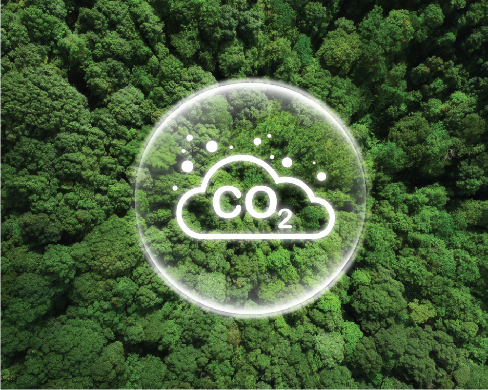 Kurumsal Karbon Ayak İzi (ISO 14064-1)