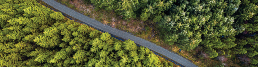 Net Sıfır Yol Haritası Nasıl Hazırlanır?