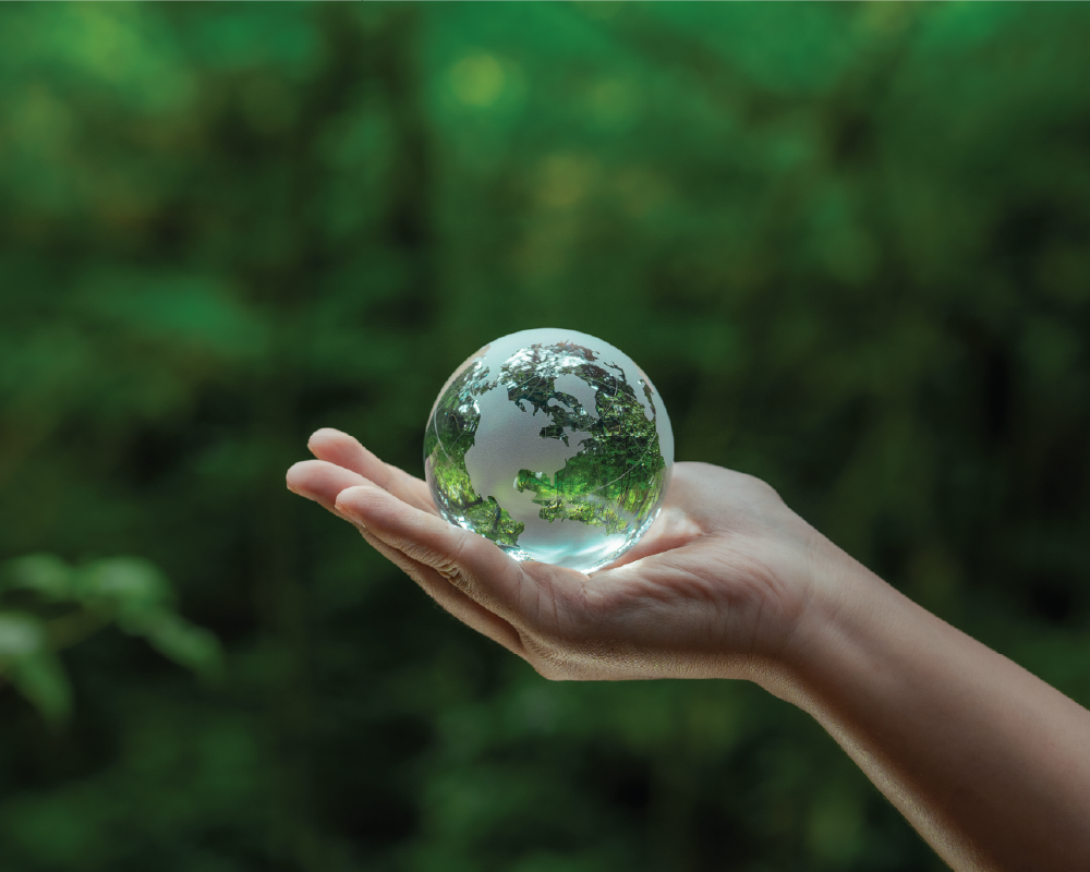 3. Impact Assessment