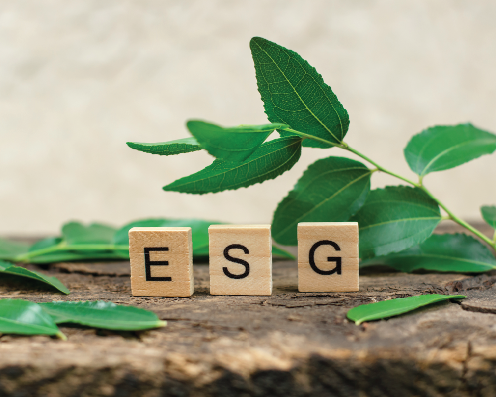 5. Double Materiality Analysis: How to Develop a Sustainability Strategy?