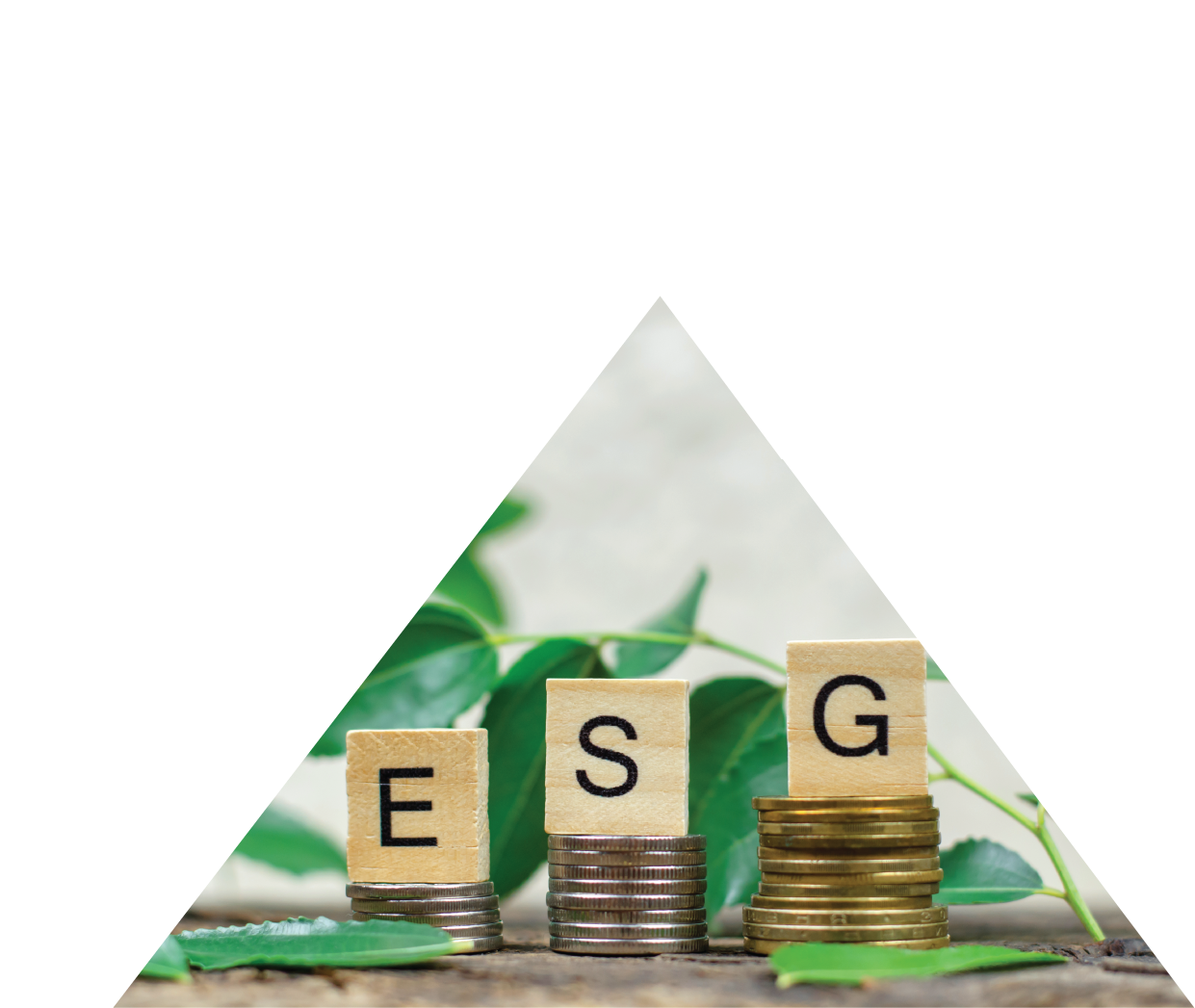 Sustainable Finance Compliance Reporting