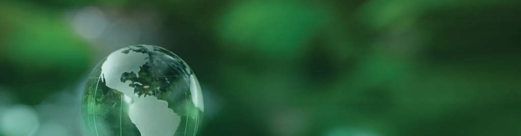 Türkiye’de Net Sıfır 2053 Hedefi: İş Dünyası Ne Yapmalı?