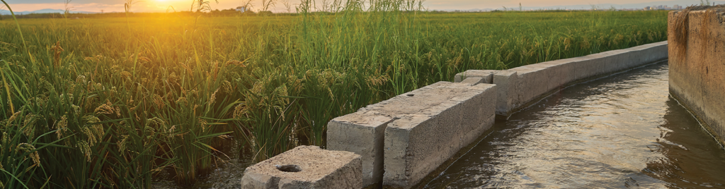 Yağmur Suyu Hasadı: Tanımı, Önemi ve Uygulama Alanları