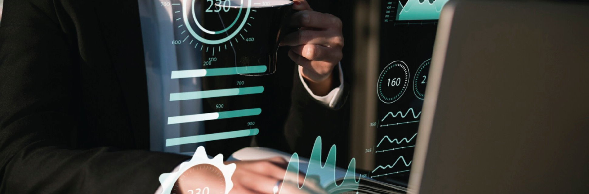 Digital Maturity Analysis
