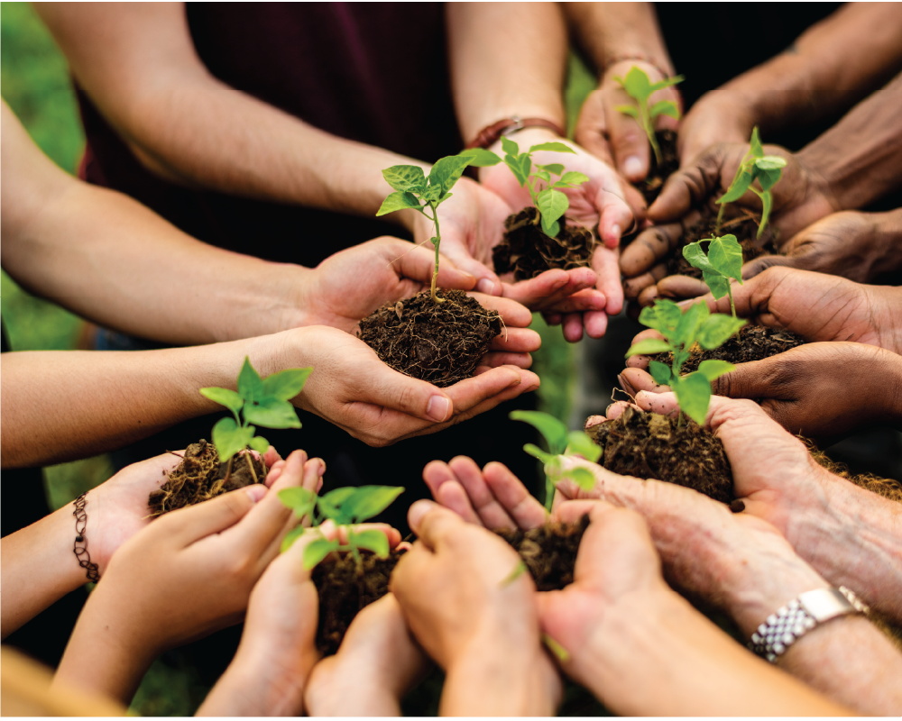 EcoVadis Nedir ve Şirketiniz İçin Neden Önemli?