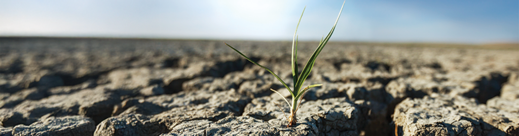 İklim Krizini Kim Yarattı? Ekonomik Sistem, Tarihsel Sorumluluk ve Bugünün Gerçekleri
