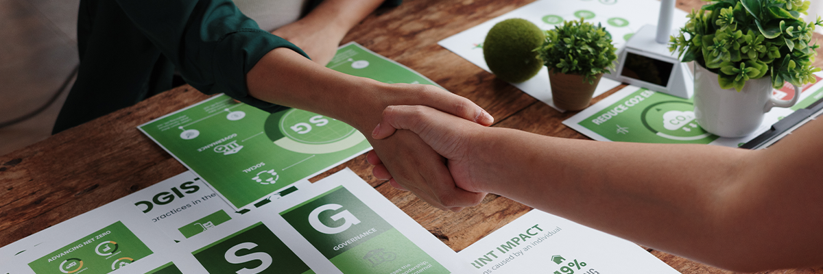 Sustainability Strategy Before IPO