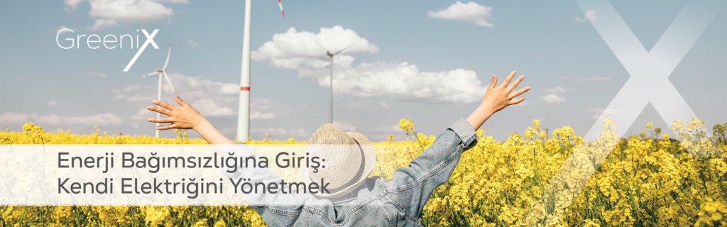 Enerji Bağımsızlığına Giriş: Kendi Elektriğini Yönetmek