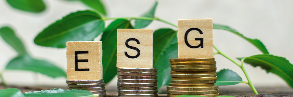 Sustainable Finance Compliance Reporting