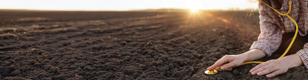 Döngüsel Ekonomi ve Sürdürülebilir Arazi Yönetimi