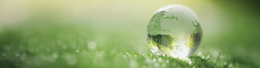 Sürdürülebilirlikte Şeffaflık Rehberi: GRI Raporlaması Nedir ve Neden Önemlidir?