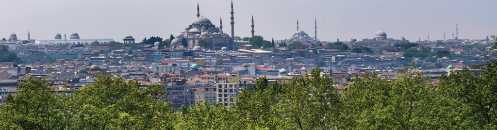 COP31 ve Türkiye’nin Yeşil Yüzyılı